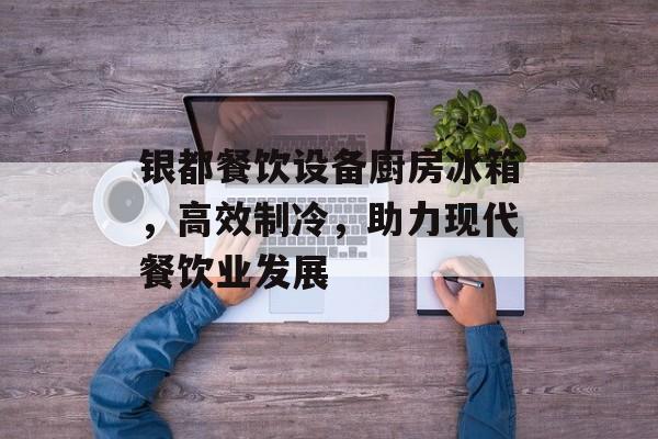 银都餐饮设备厨房冰箱，高效制冷，助力现代餐饮业发展