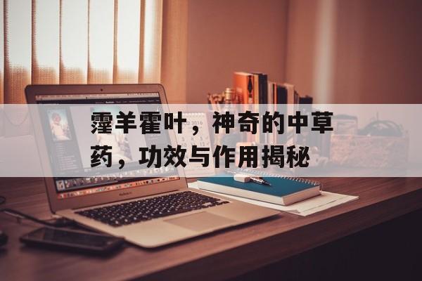 霪羊霍叶，神奇的中草药，功效与作用揭秘