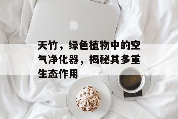 天竹，绿色植物中的空气净化器，揭秘其多重生态作用