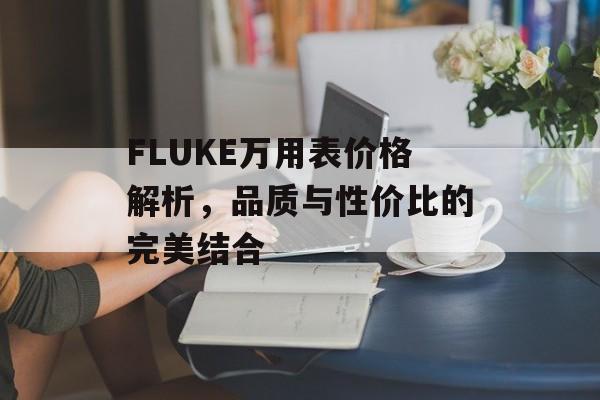 FLUKE万用表价格解析，品质与性价比的完美结合