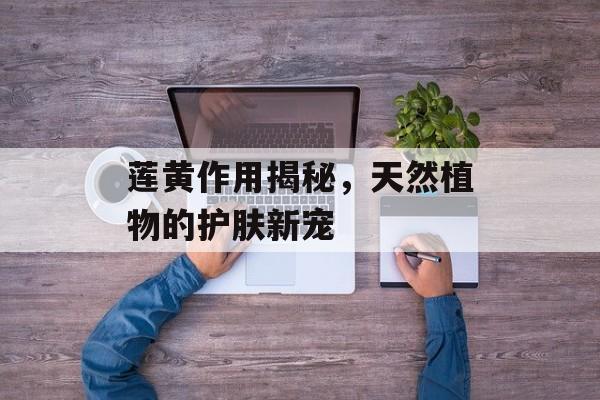 莲黄作用揭秘，天然植物的护肤新宠