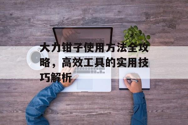大力钳子使用方法全攻略，高效工具的实用技巧解析