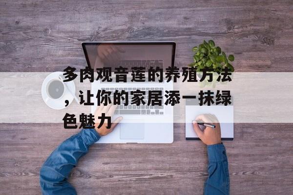 多肉观音莲的养殖方法，让你的家居添一抹绿色魅力