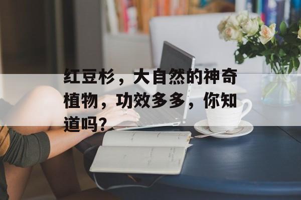 红豆杉，大自然的神奇植物，功效多多，你知道吗？
